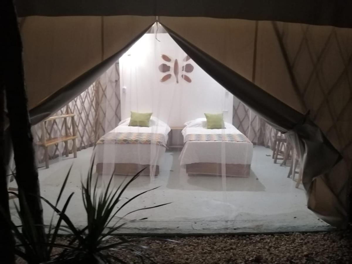 Campsite Kuha Glamping