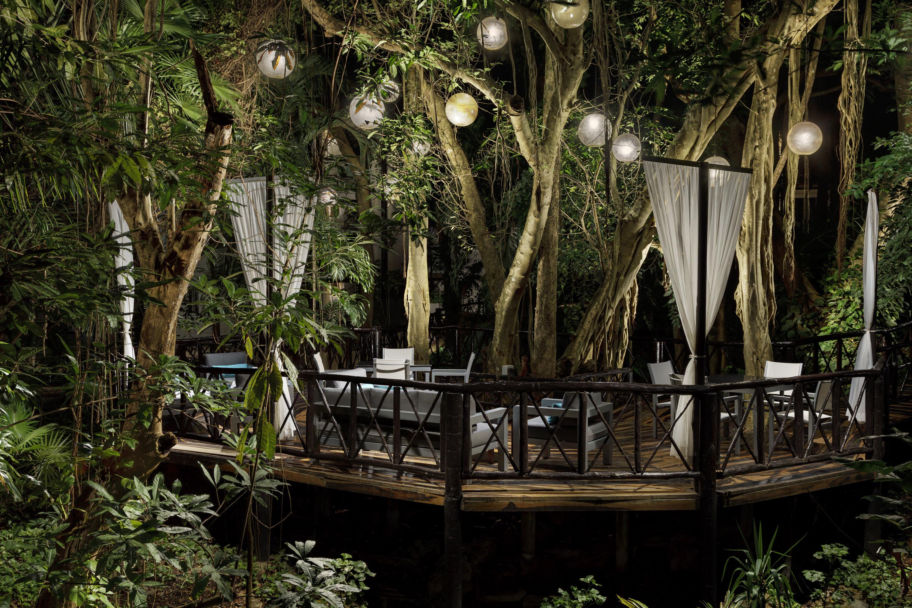 The Reef Playacar &