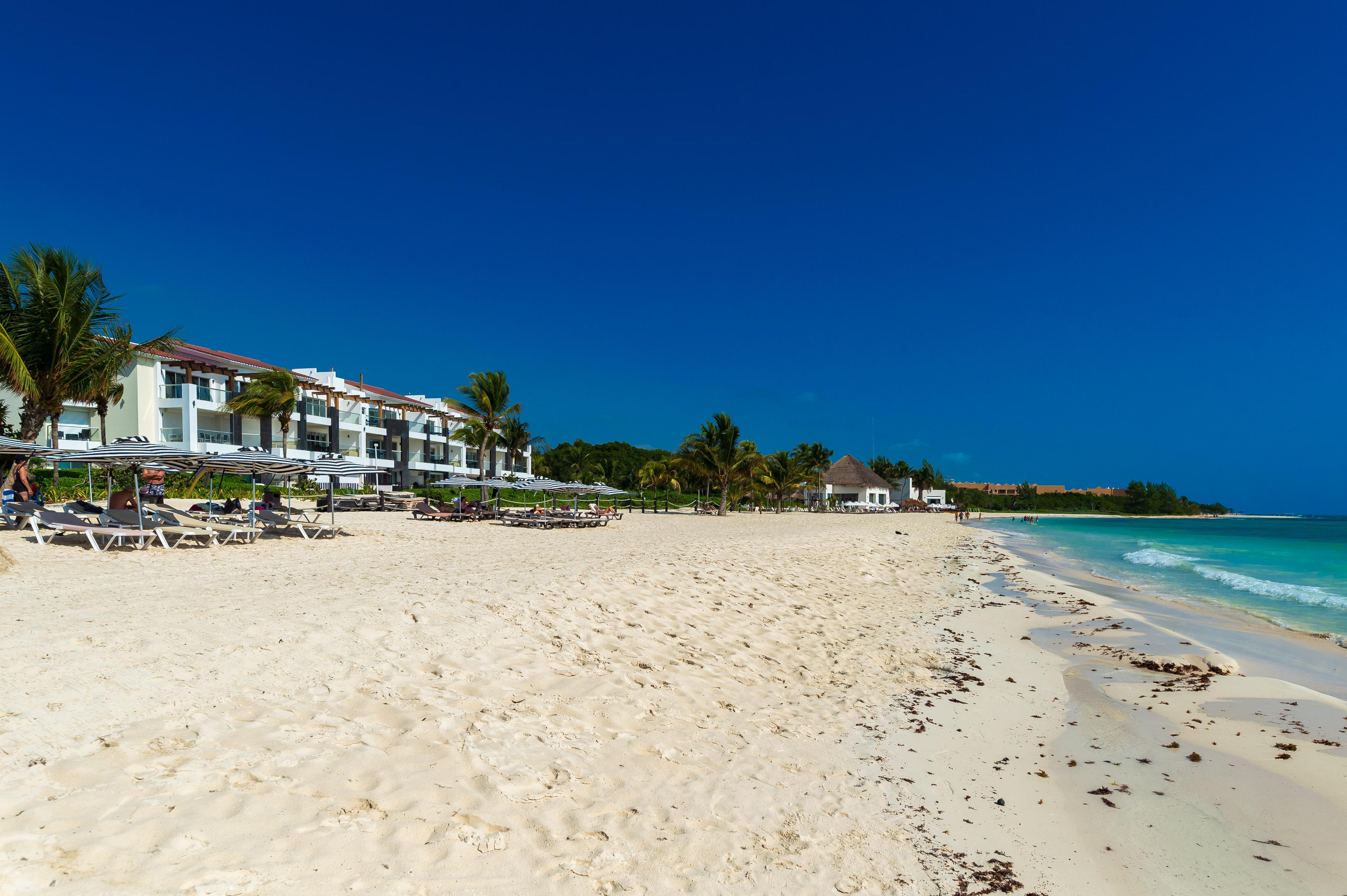 Mareazul Front 4*