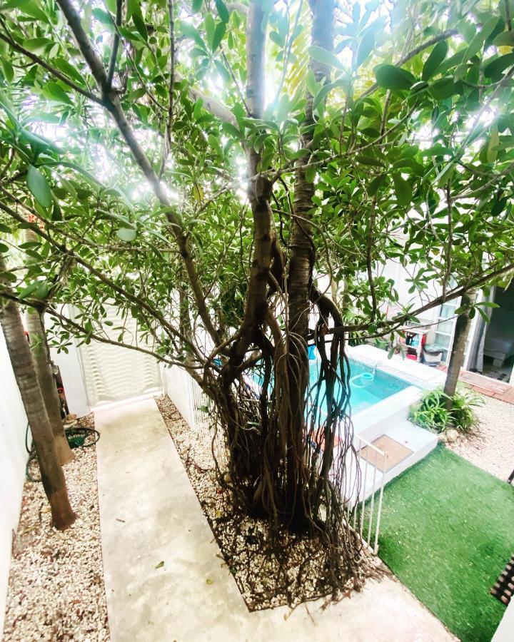 Apartamento Cozy Tiny Acasadialexplayadelcarmen