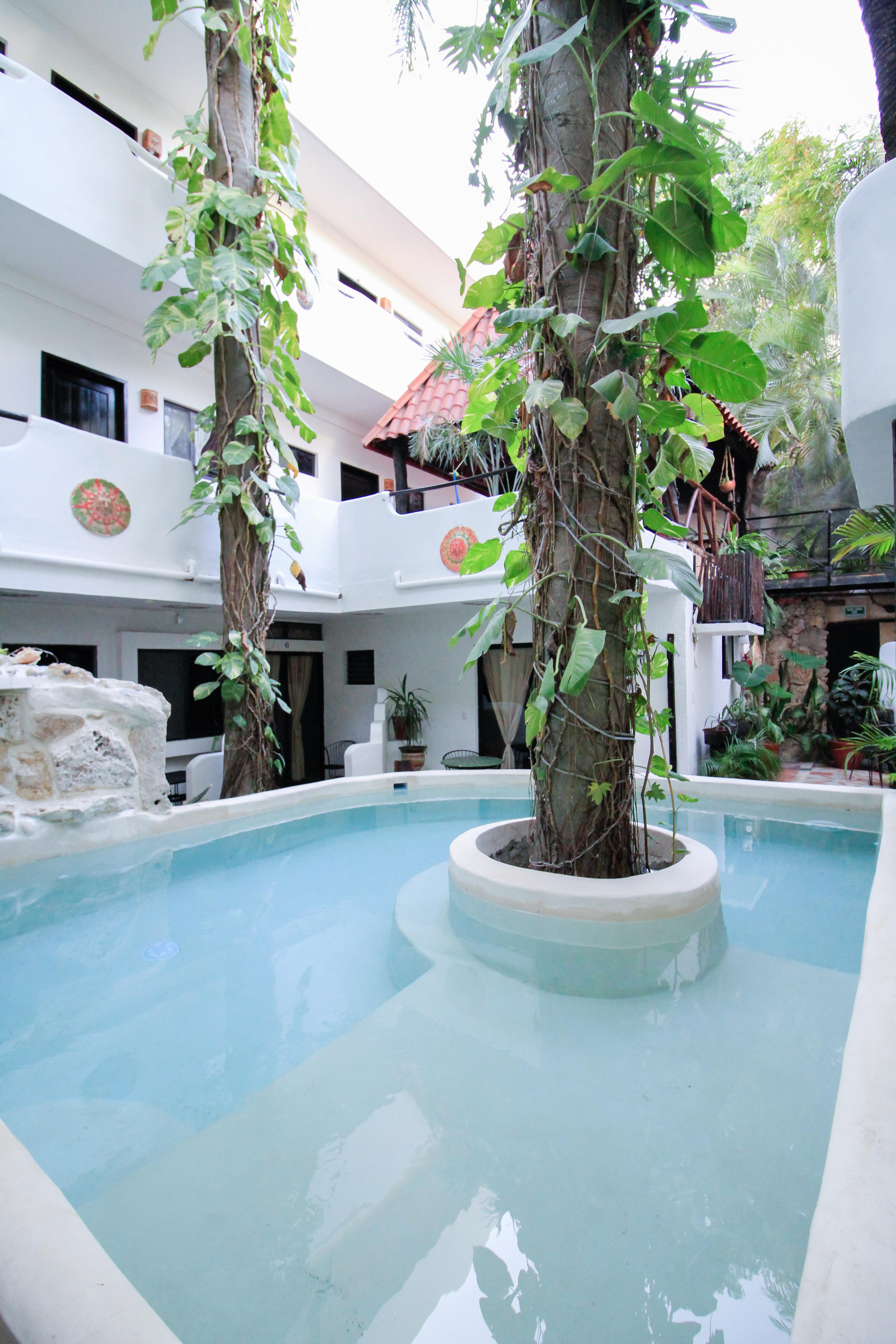 Hotel Moonshine Playa del Carmen