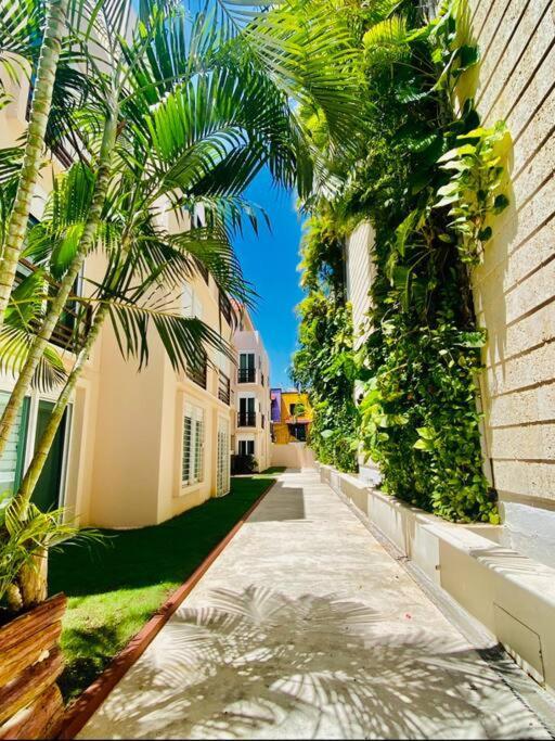 Departamento En El Centro De Excelente Ubicación Internet Fibra óptica Apartamento *