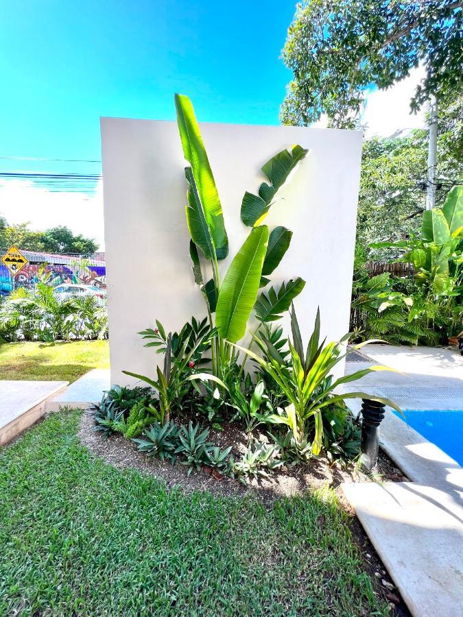 Apartment Departamento En El Corazon De