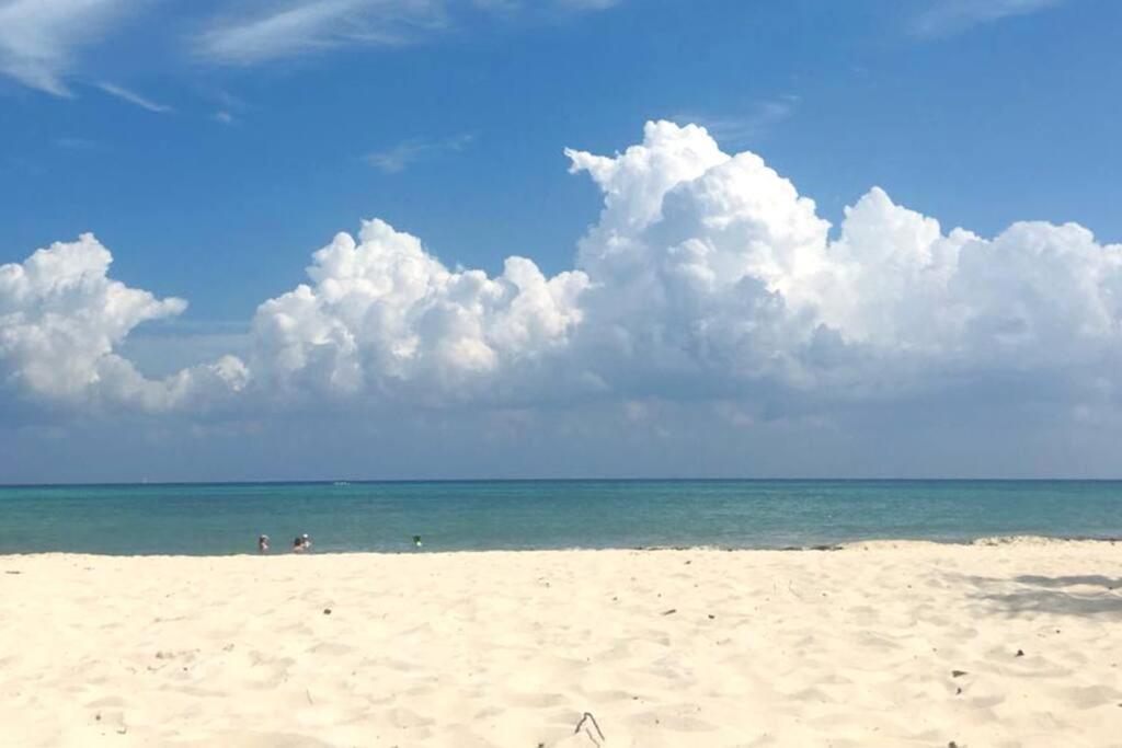 Downtown With Rooftop Pool - Walk To 5th Ave & The * Playa del Carmen