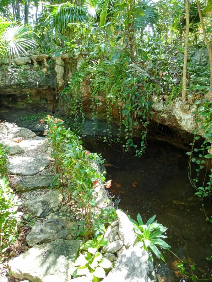 Kuha Glamping