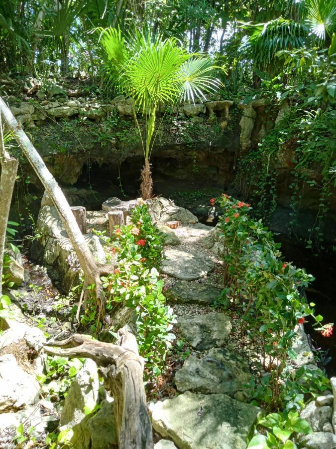 Kuha Glamping Campsite *