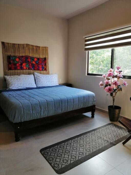 Departamento En Valentina&valeria Apartment *