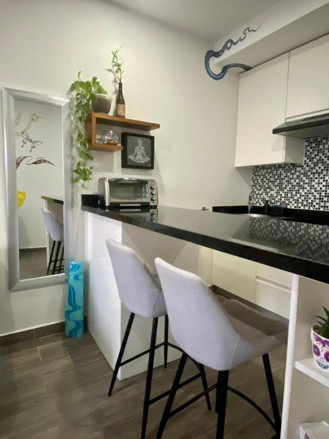 Precious W/ Working Station Apartment *
