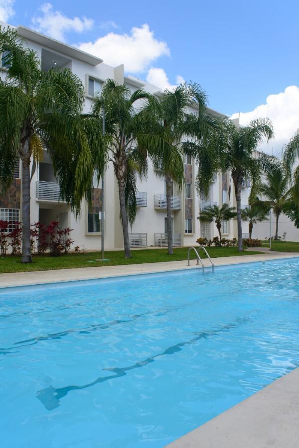 Olivos J8 *