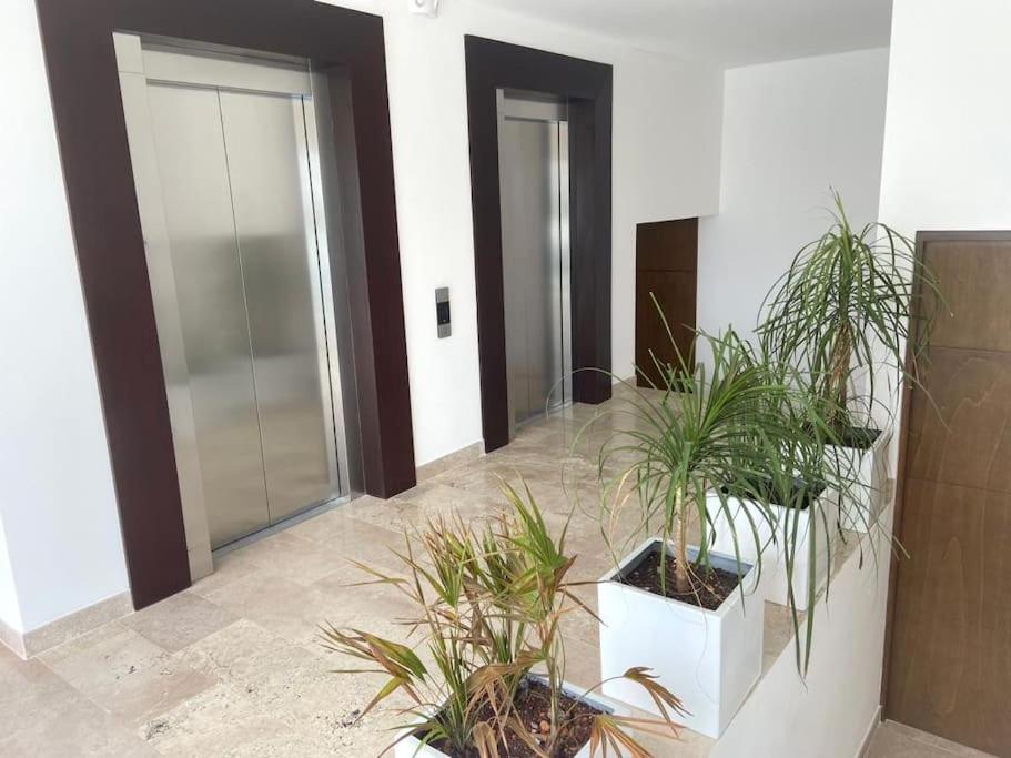 Apartment Serenada Apt 213 Casa Dos Abejas Playa del Carmen