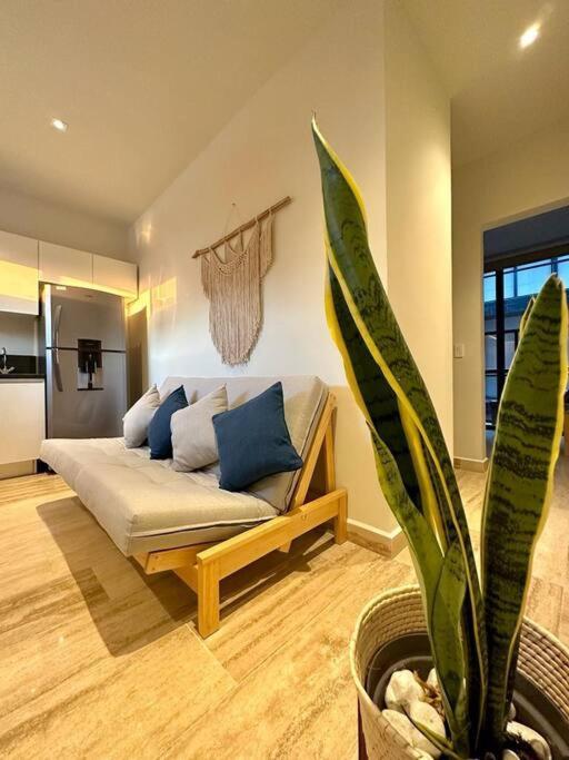 Apartment New Pool View Cozy / Jacuzzi, Gym & Pool