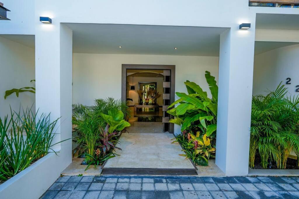 Toh, Riviera Maya * Playa del Carmen