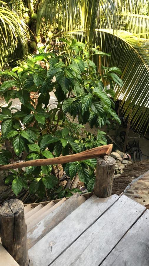 Guest house Quinta Salamandra