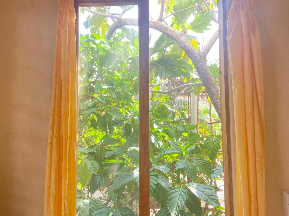 Guest house Quinta Salamandra *