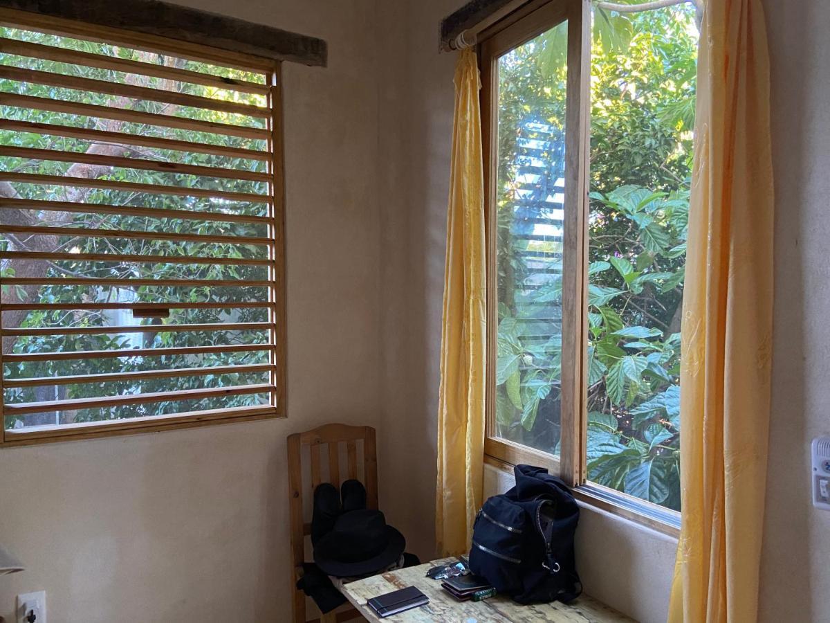 Guest house Quinta Salamandra Playa del Carmen