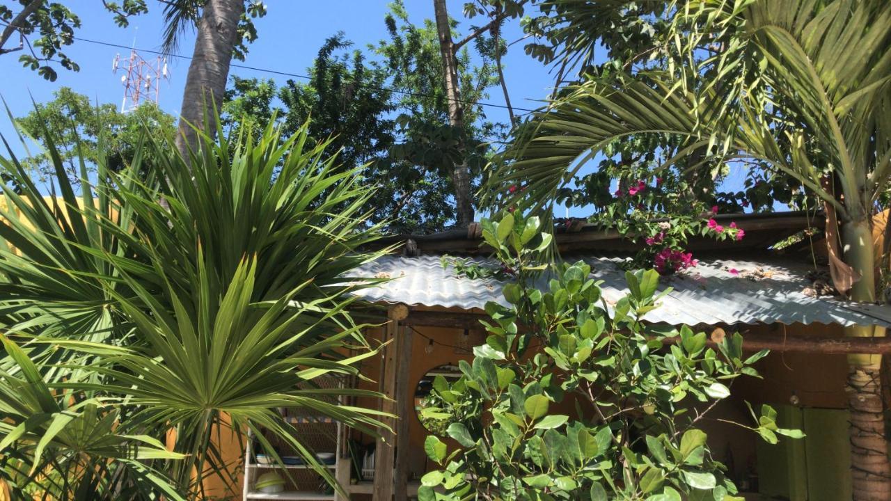 Quinta Salamandra Guest house Playa del Carmen