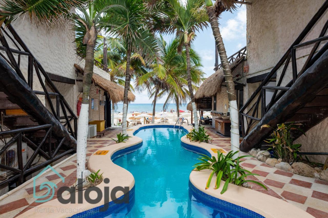 Magnifico Refugio Junto Al Mar * Playa del Carmen