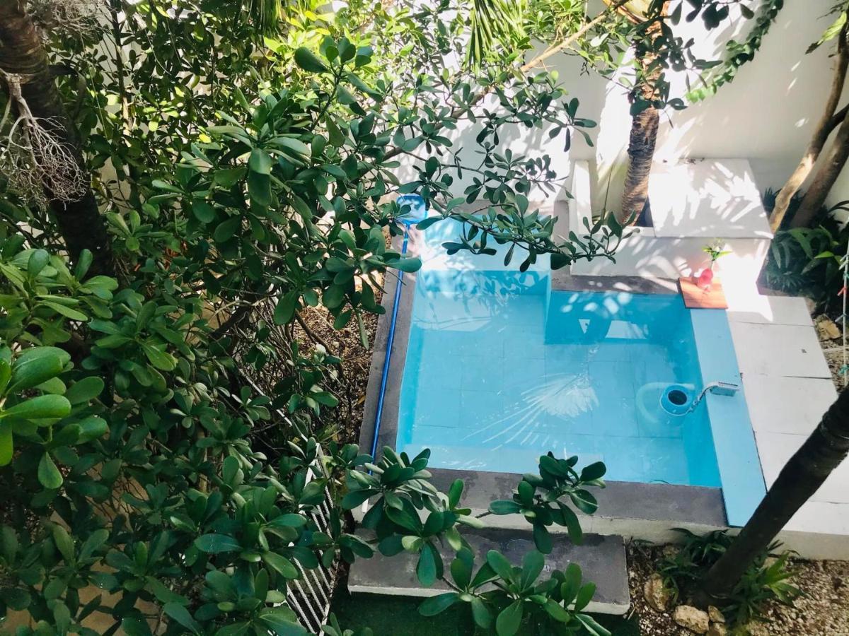 Cozy Tiny Acasadialexplayadelcarmen