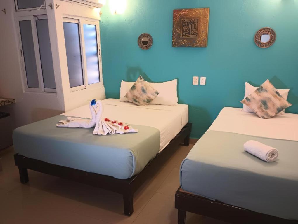 Hotel Playa Y Mar Suites - Avenida Quinta - Only 1 Block From Beach!!!
