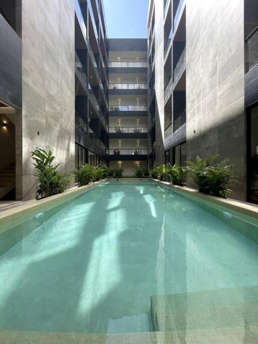 Apartment Modern Loft With Rooftop Pool & Steps From The By Solmar Playa del Carmen