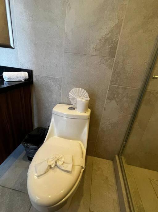 Relaxconect-freeparking-fastwifi Apartment *