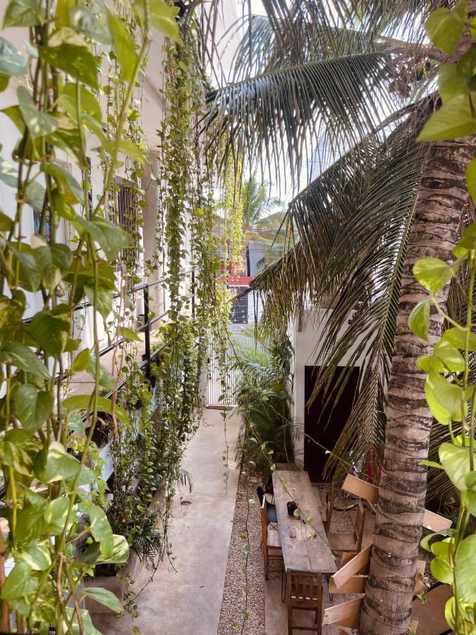 Anana Coliving Playa del Carmen