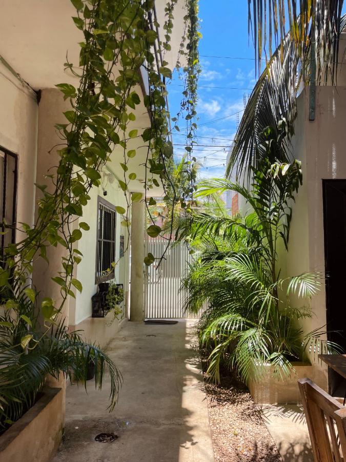 Anana Coliving * Playa del Carmen