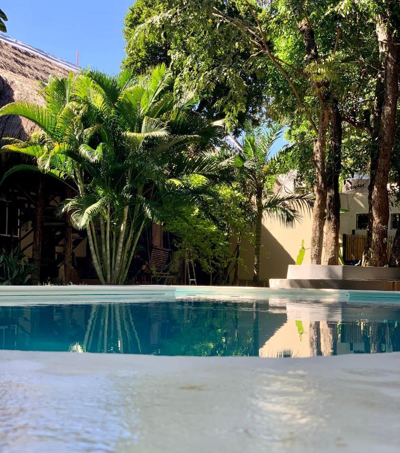 Hotel Ammare Boutique Playa del Carmen