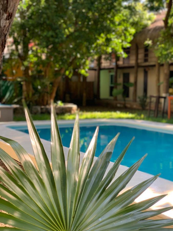 Ammare Boutique 3* Playa del Carmen