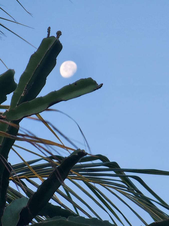 Bed & Breakfast Myoli Wellness & Happiness Playa del Carmen