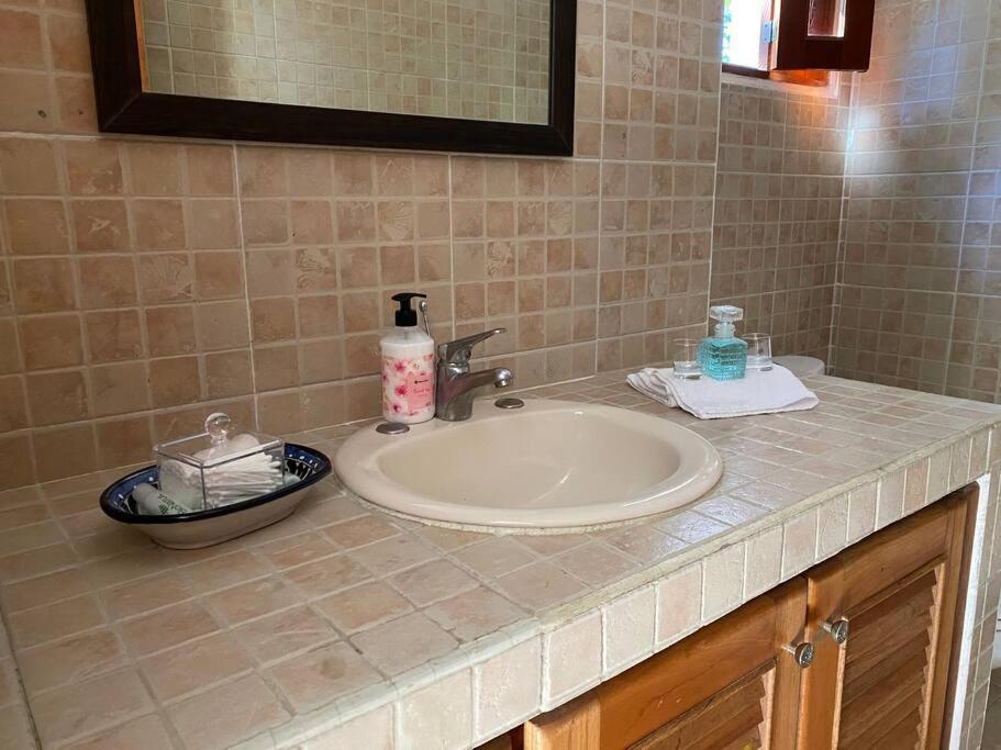 Jungle Oasis By The Beach: Casa Selva On 38th Street *