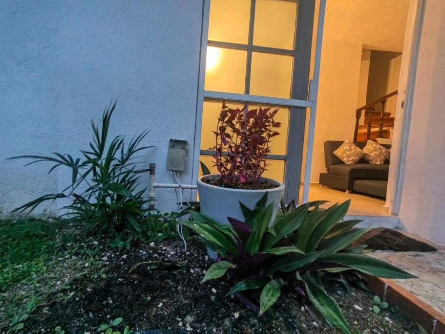 Bonita Casa A 3 Km De Playa Xcalacoco Auto Opcional Ferienhaus *