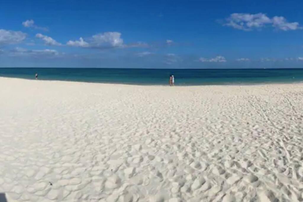 Mareazul Beachfront 2br Private Pool Casa Ancora