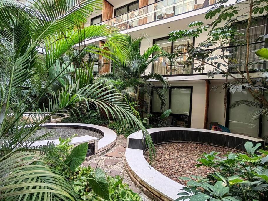 Apartamento Hermoso Y Acogedor Estudio A Pasos De La Playa Playa del Carmen