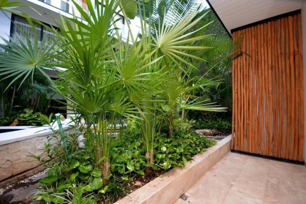 Apartamento Hermoso Y Acogedor Estudio A Pasos De La Playa *