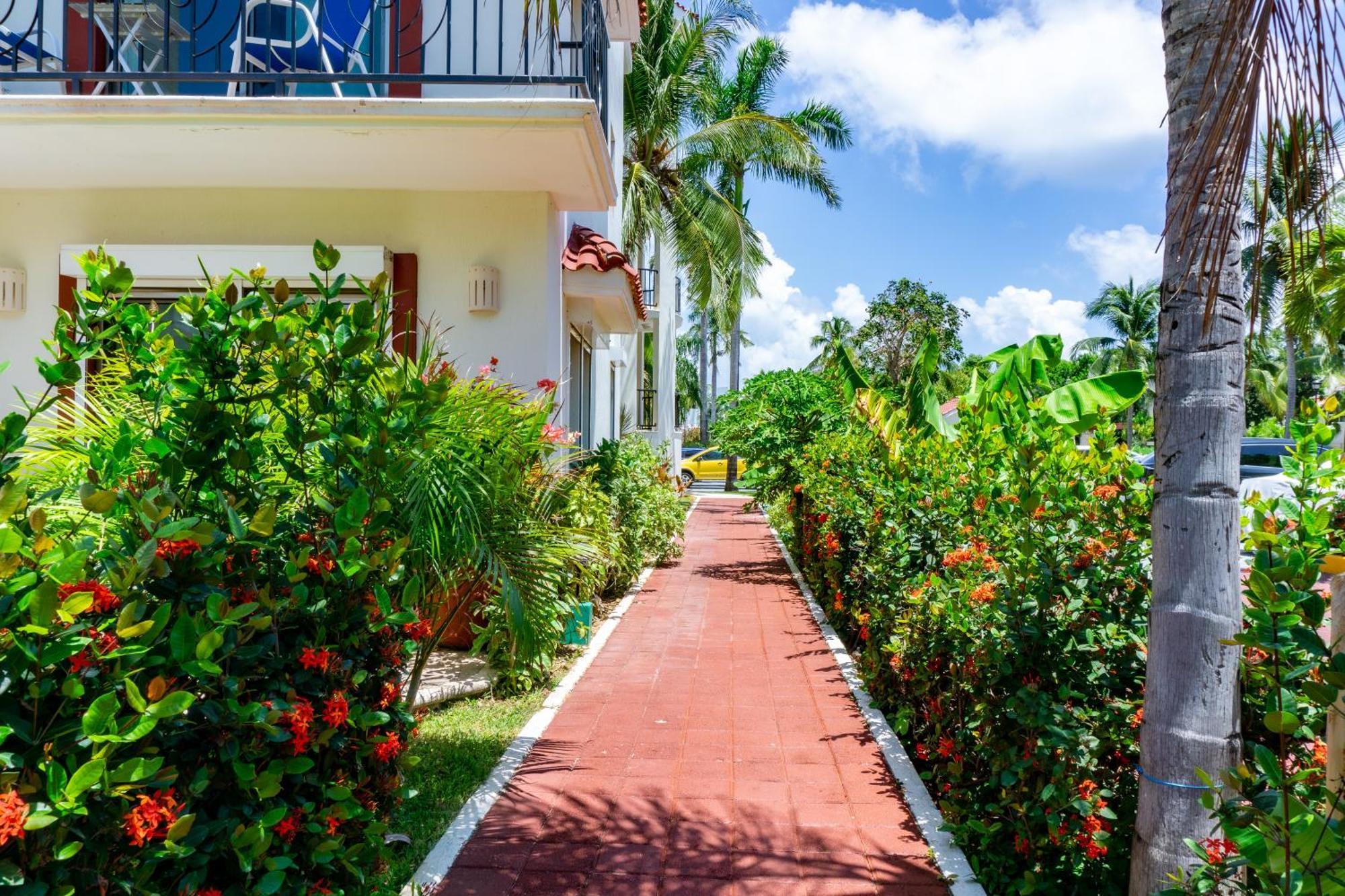 Paseo Del Sol Cenote 304