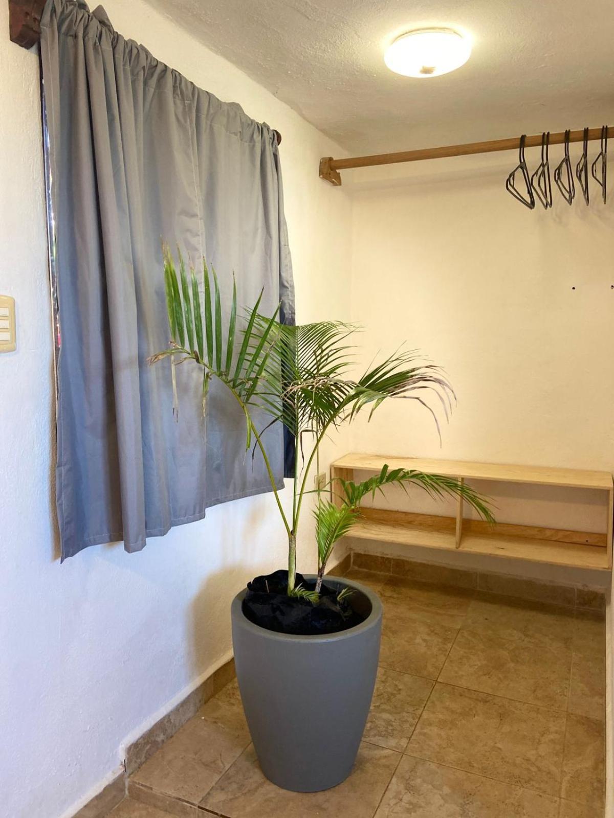 Gasthof Anana Coliving Playa del Carmen