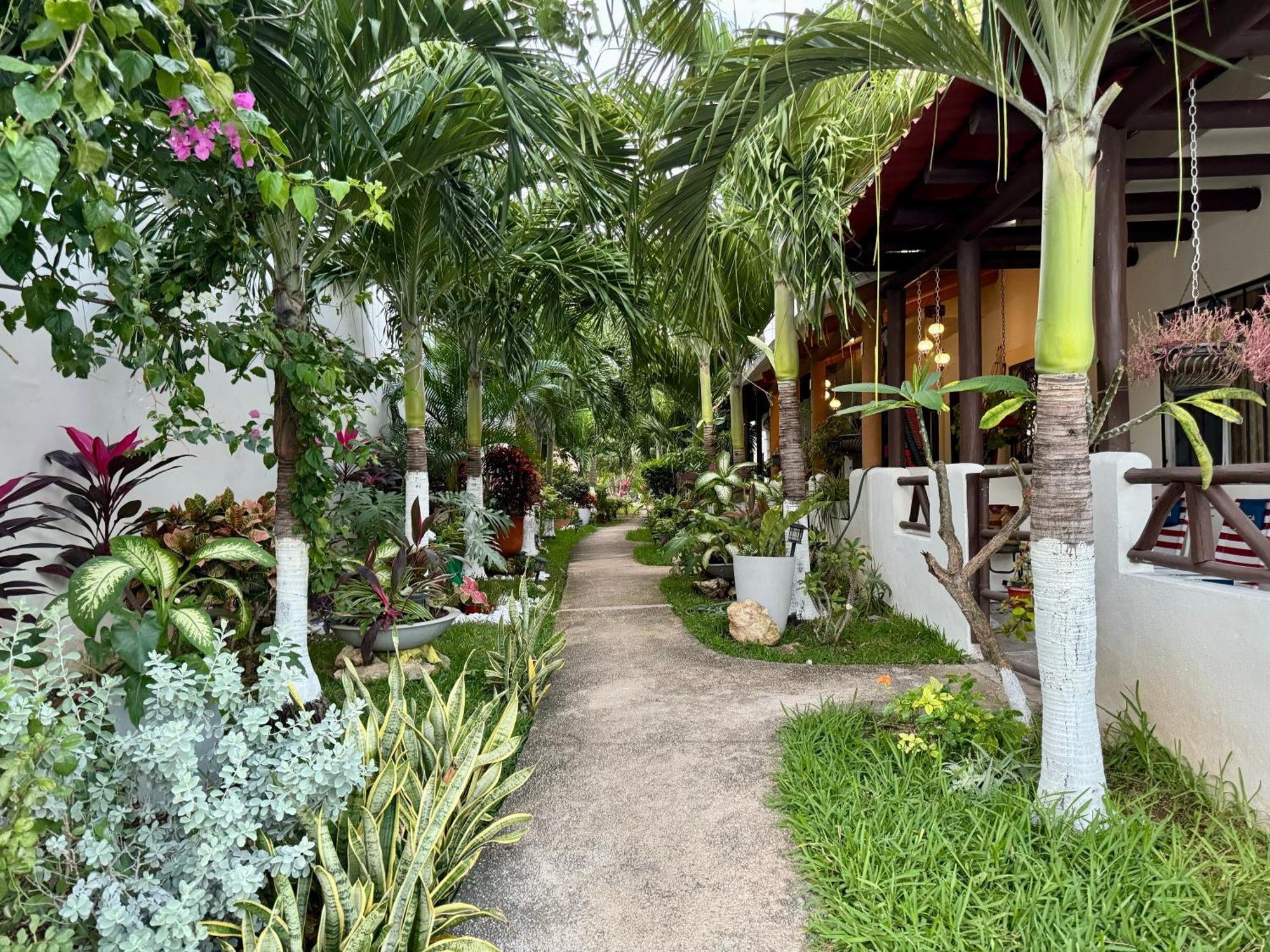 Casa Ceiba *