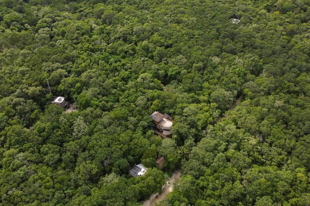 Palapa De La Selva With Cenotes Holiday home