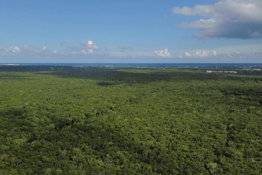 Holiday home Palapa De La Selva With Cenotes *