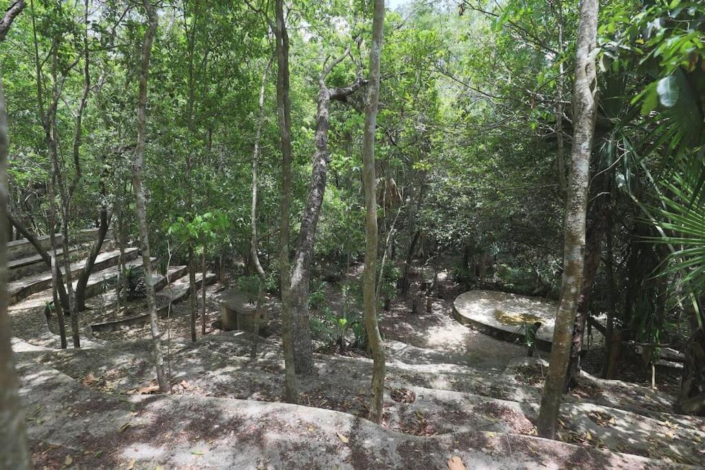 Holiday home Palapa De La Selva With Cenotes Playa del Carmen