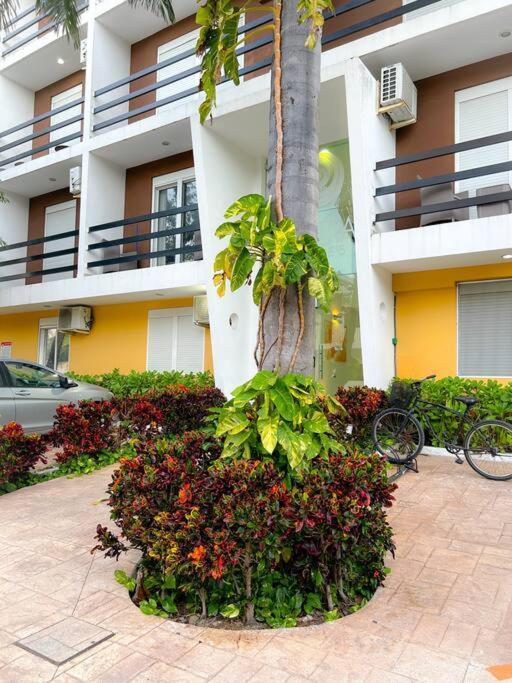 Loft Riviera Pool/ Parking/good Ubication. * Playa del Carmen