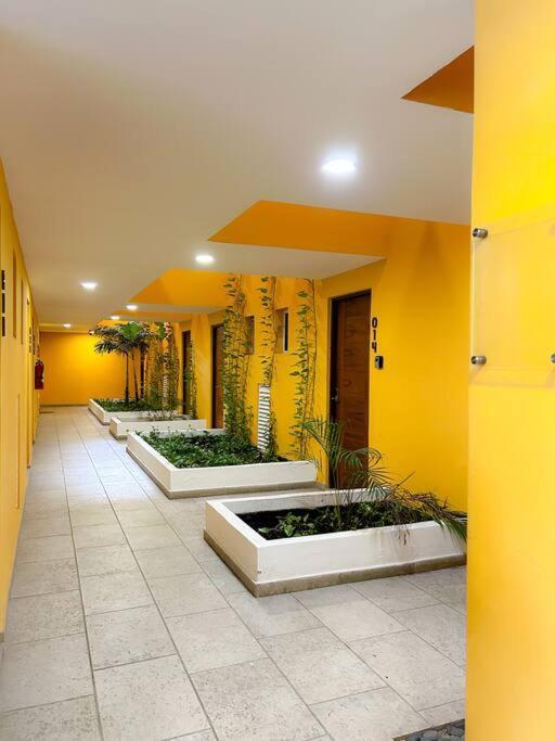 Loft Riviera Pool/ Parking/good Ubication. Playa del Carmen