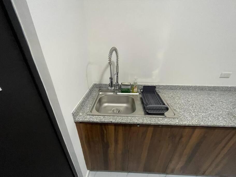 Apartment Lizard