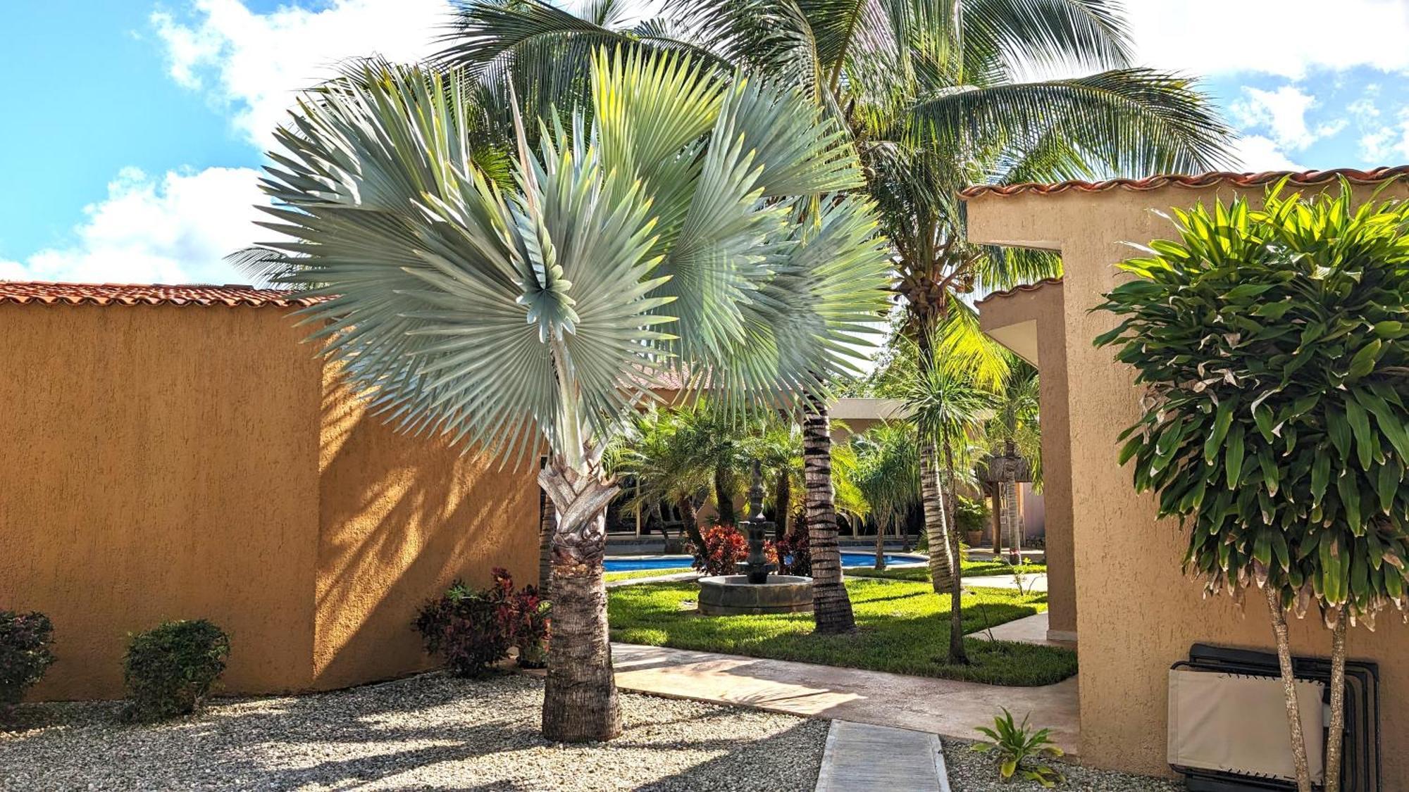 Myoli Wellness & Happiness * Playa del Carmen