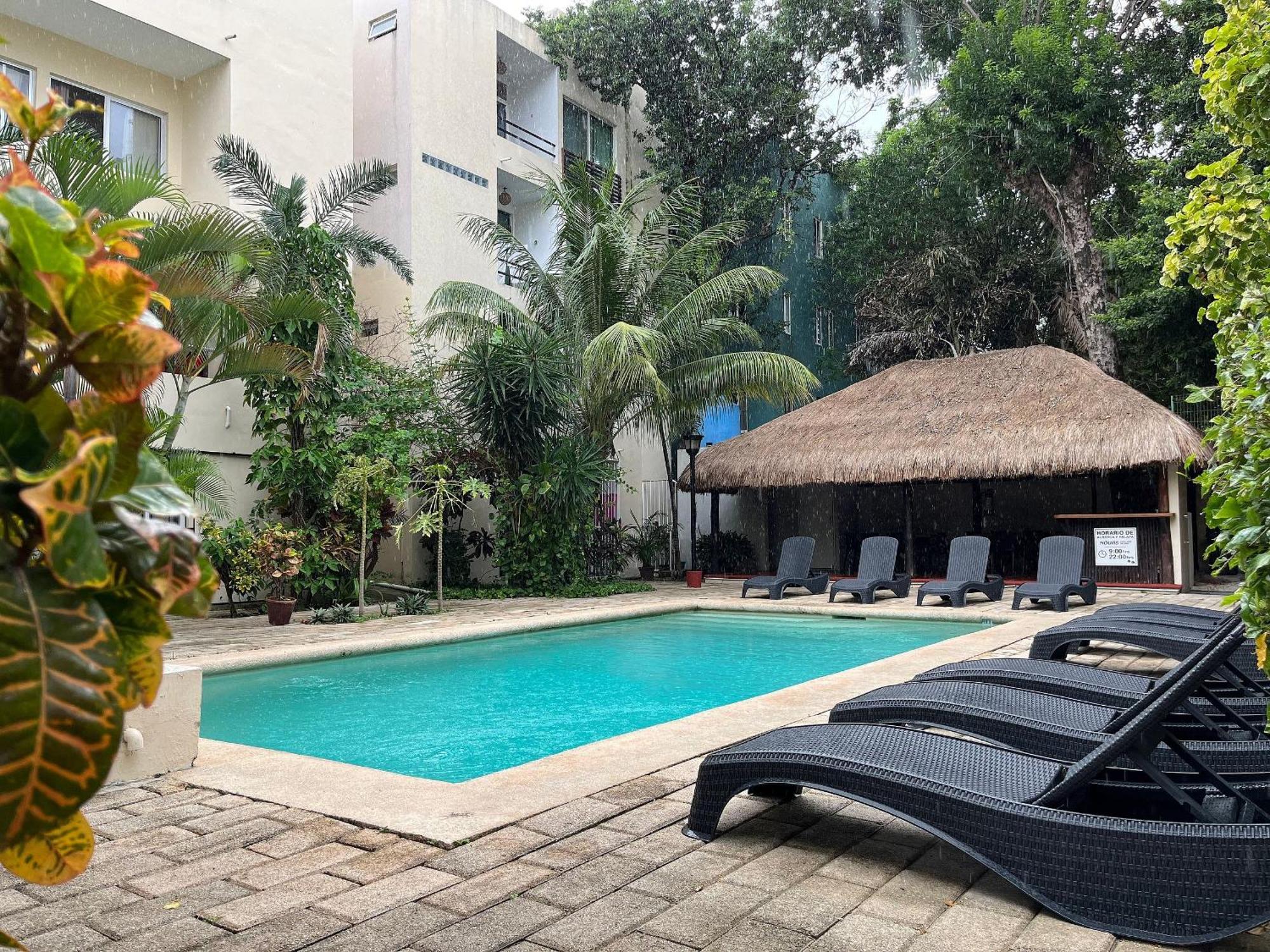 Apartment Beautiful, Comfortable And Great Location *