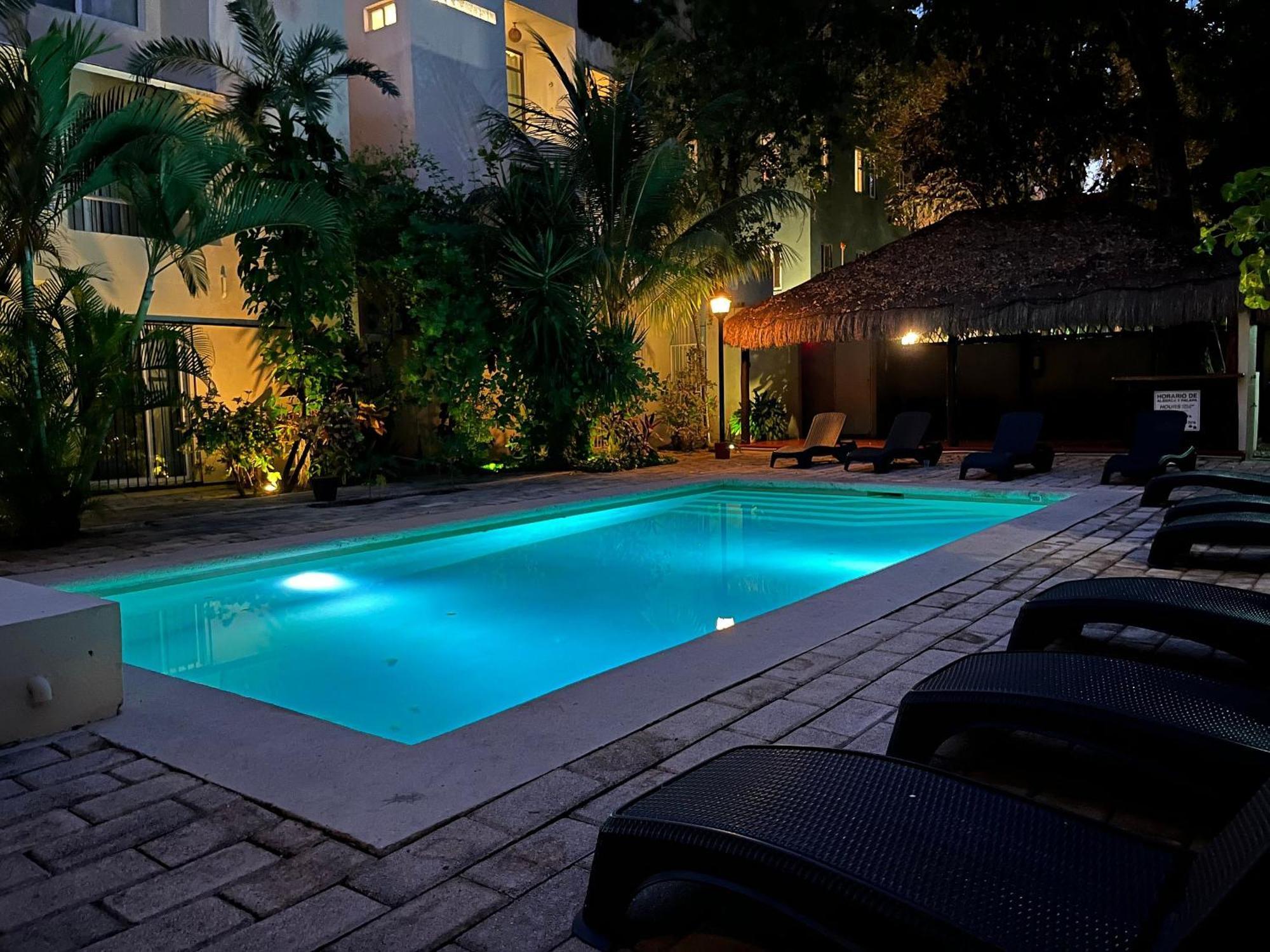 Apartment Beautiful, Comfortable And Great Location *