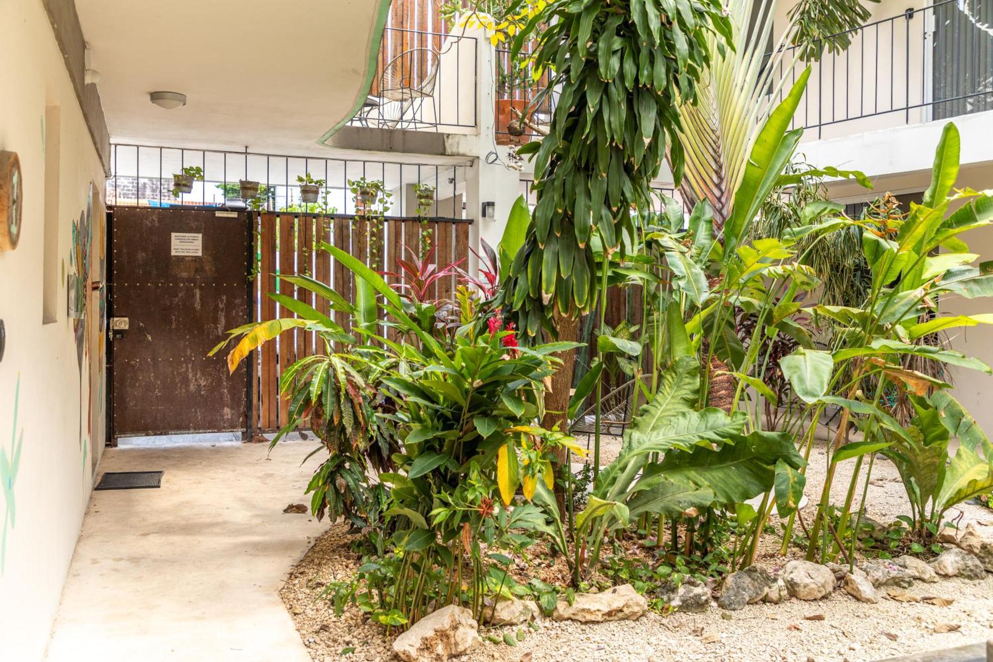 Habanero & Garden Apartment Playa del Carmen