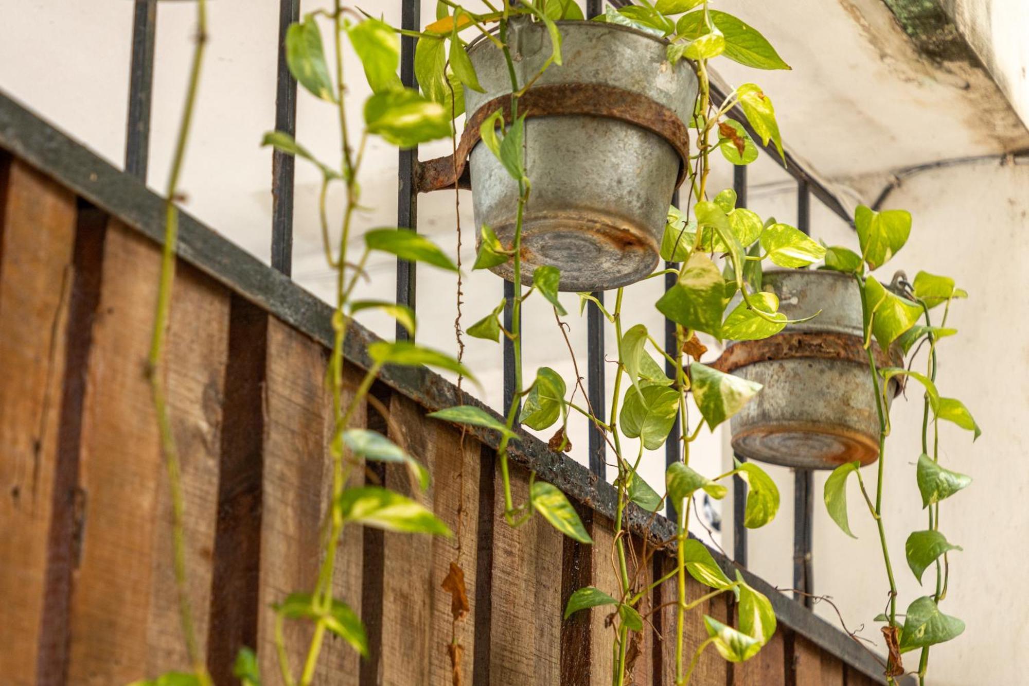 Habanero & Garden Apartment *