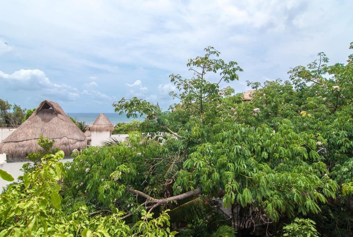 Charming Authentic Mexico-walk To & 5th Ave! Holiday home Playa del Carmen